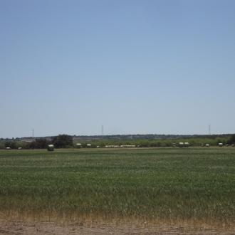 TweedyRanch (18)